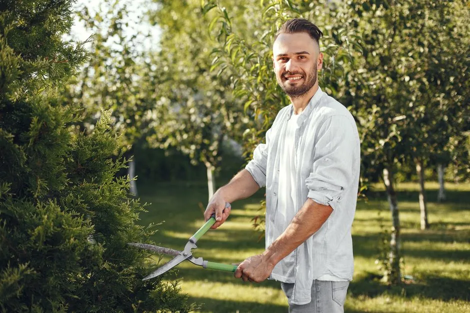 Free On-Site Estimate in Greenville